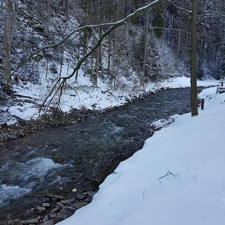 Apartment Alpine Escape In Wildemann