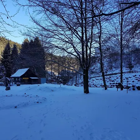 Apartment Alpine Escape In *