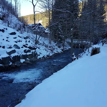 Alpine Escape In * Wildemann