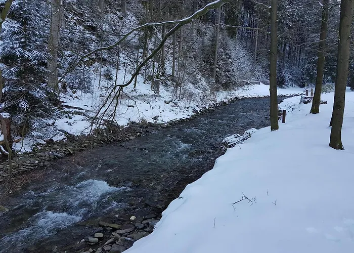 Διαμέρισμα Alpine Escape In Wildemann