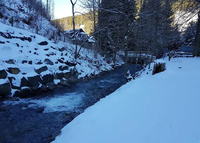 Alpine Escape In * Wildemann